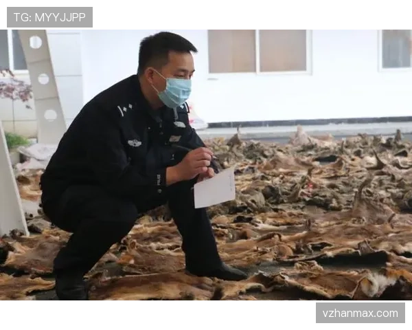非法掩护是什么意思?比赛中如何判罚与具体规则说明 非法掩护是什么意思?比赛中如何判罚与具体规则说明